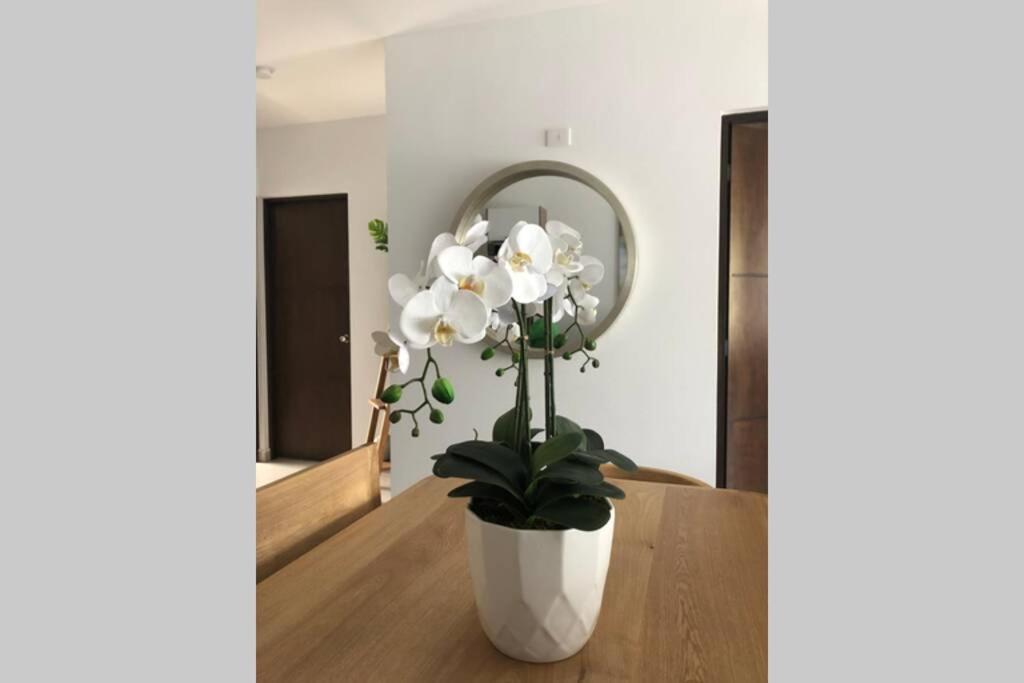 Modern Decor Apartment Near Ocean Масатлан Екстериор снимка